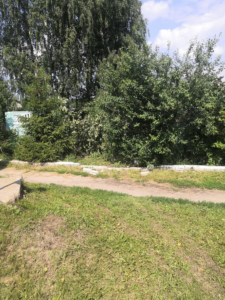 Виден разбитый бордюр, а брешь в заборе прикрыта ветками.jpg