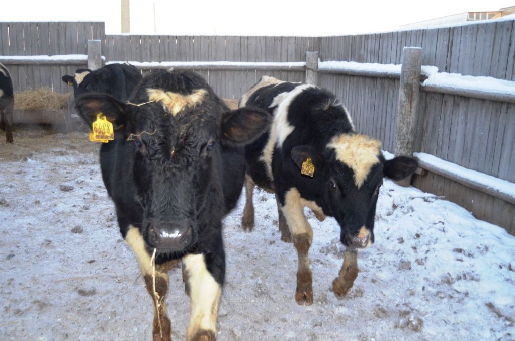 Вся компания добрых молодцев отправилась на встречу журналисту.JPG