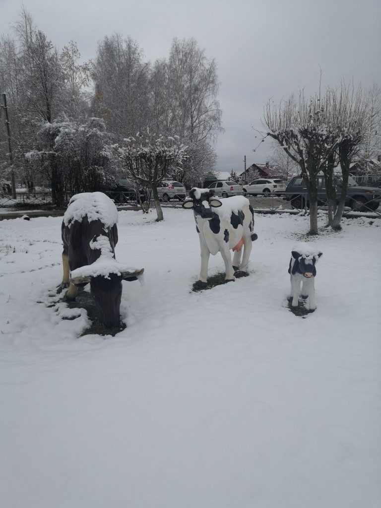 Животными обзаводились в три этапа.jpg