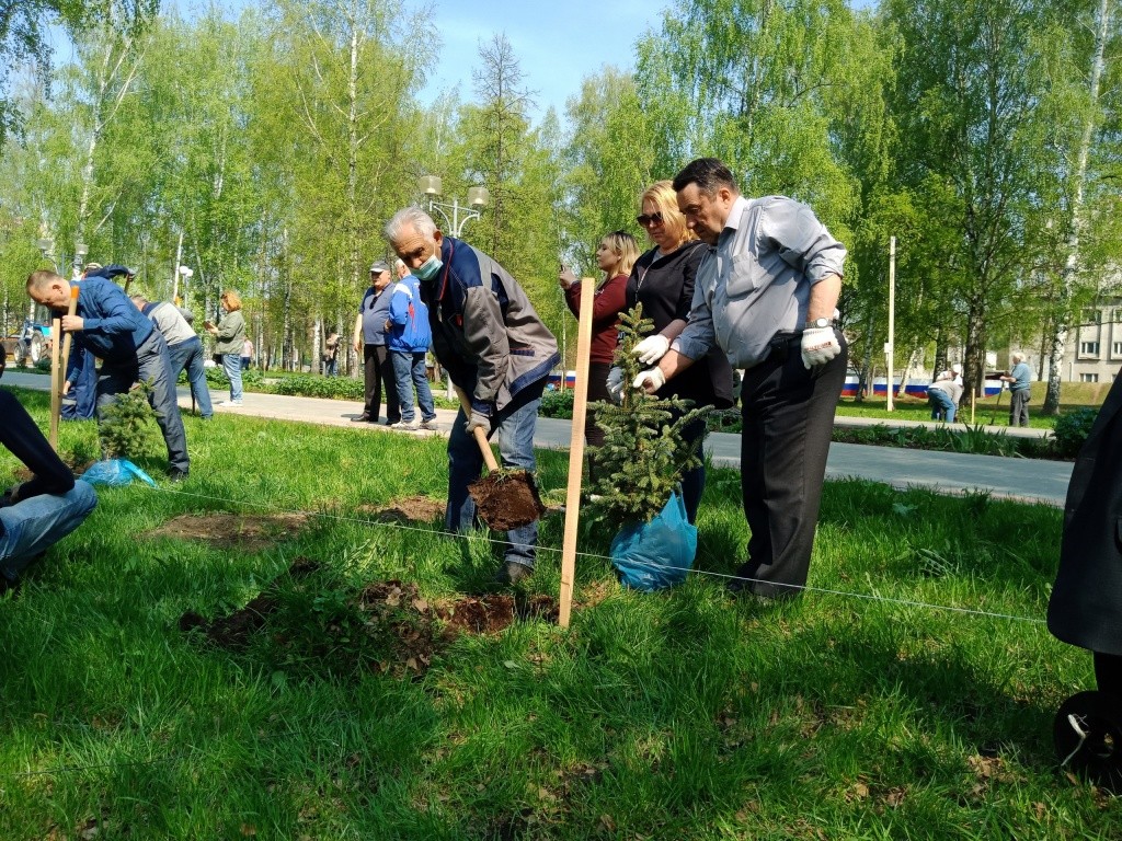 Закладка аллеи.jpg
