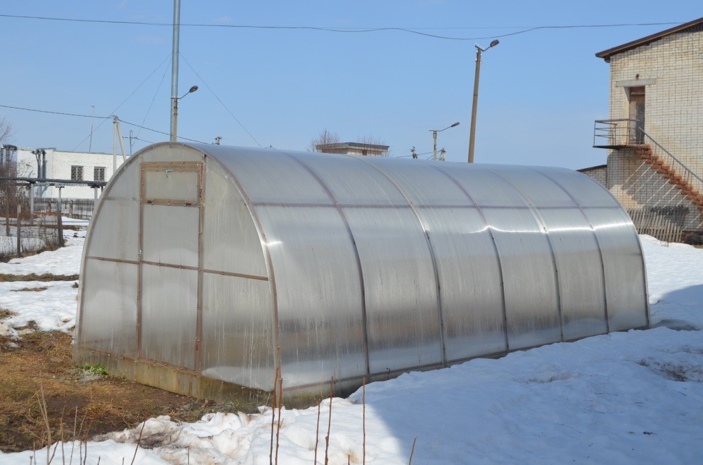 Теплица очень выручает школу.jpg