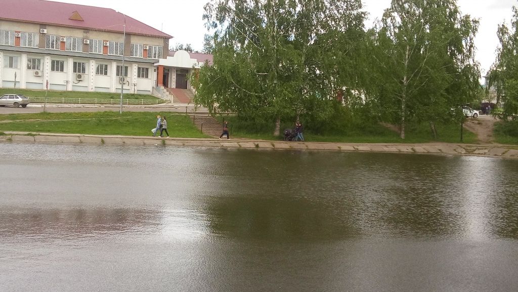 пруд Рыбаковский2.jpg