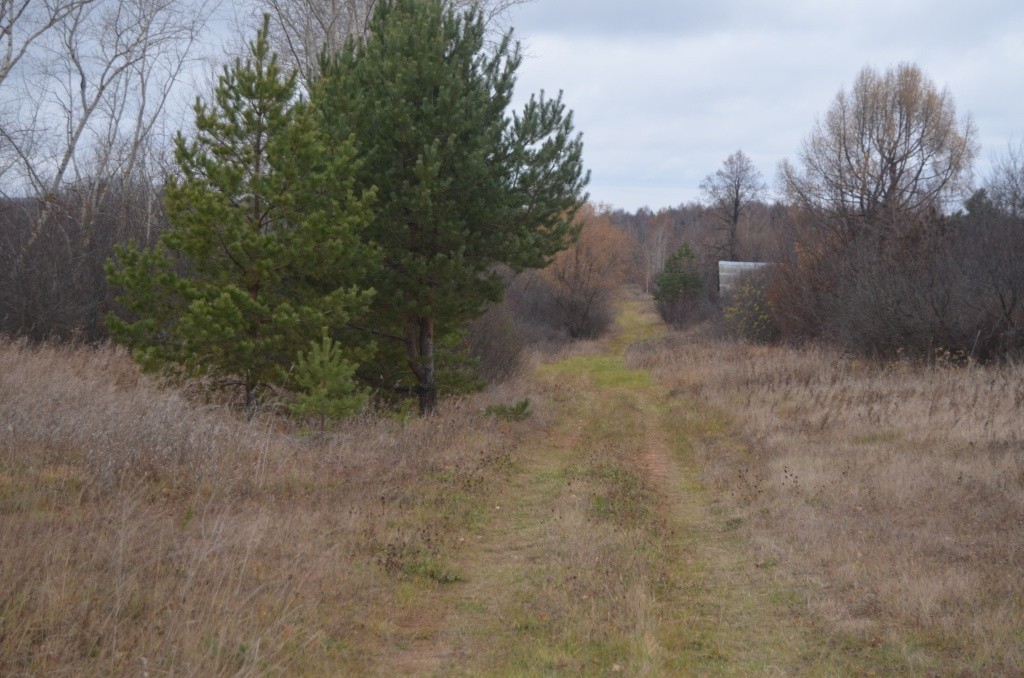Здесь проходила деревенская улица.jpg