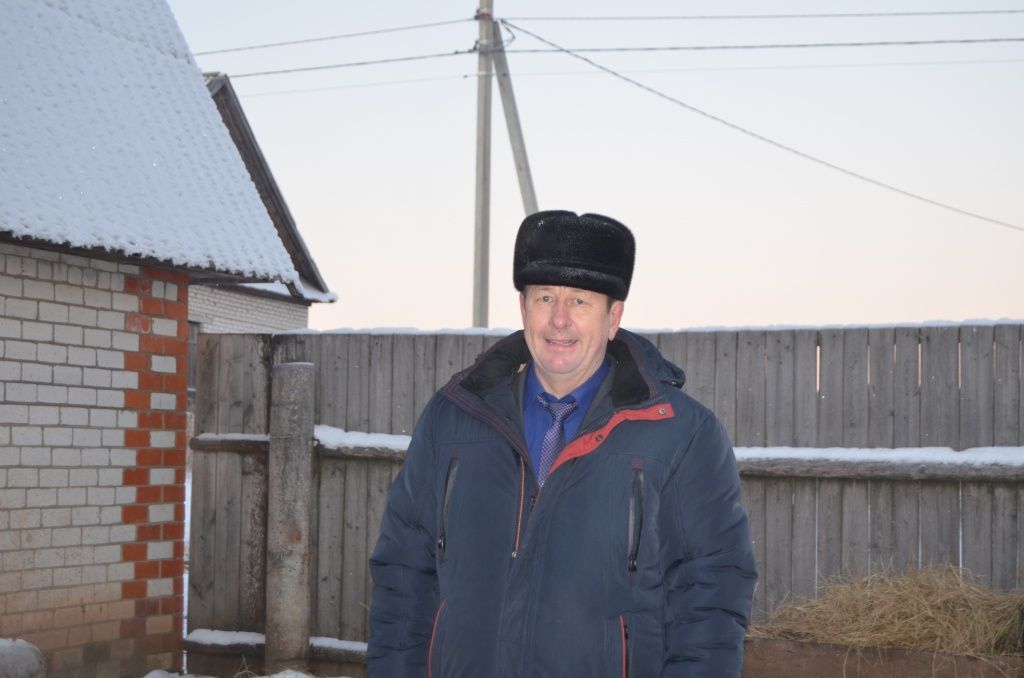 33 года Сергей Сидоркин занимается откормом бычков.JPG