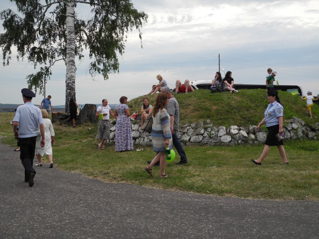 Высоко сижу - далеко гляжу. (Фото Натальи Кулишовой).