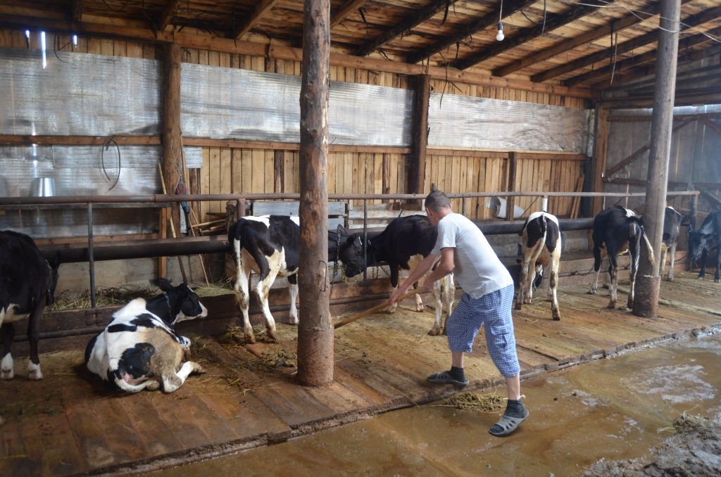 Фермеры создали уже три постоянных рабочих места.jpg