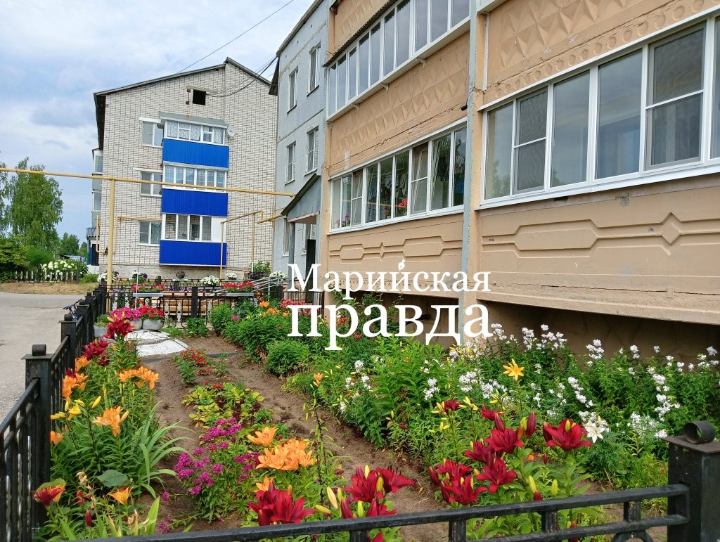 Цветник. IMG20230710144825 (1).jpg