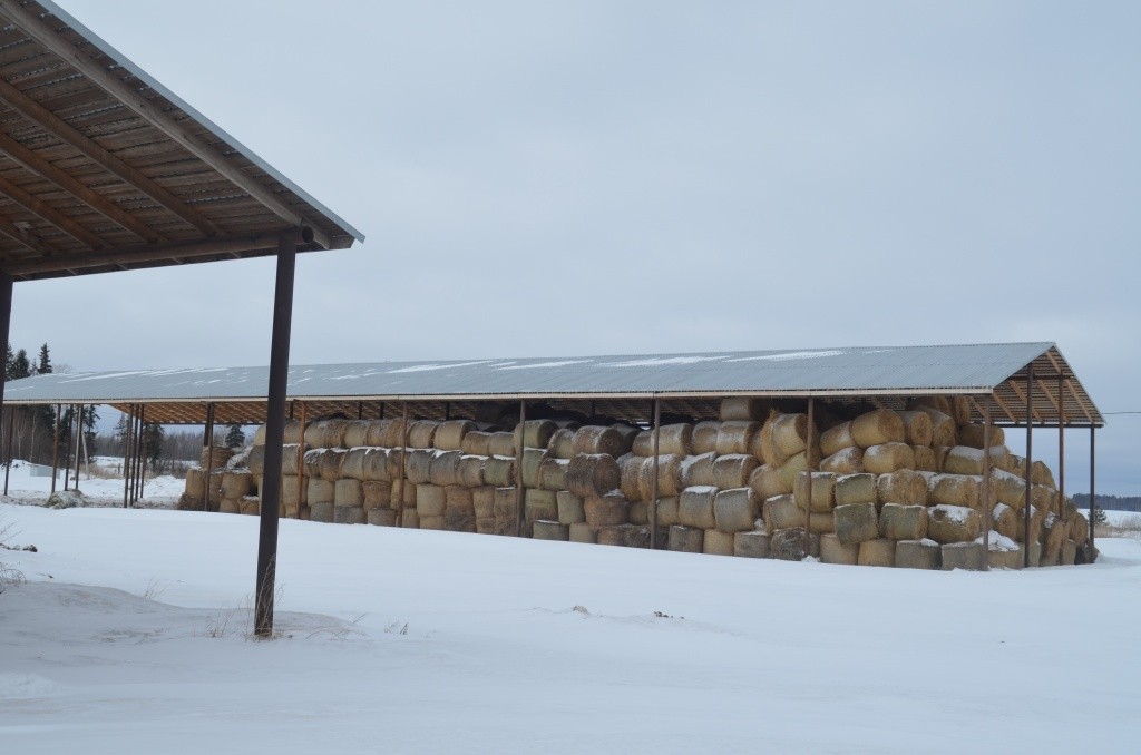 Весь запас сена хранится под навесом - это гарантия качества. Весь запас сена хранится под навесом - это гарантия качества.jpg