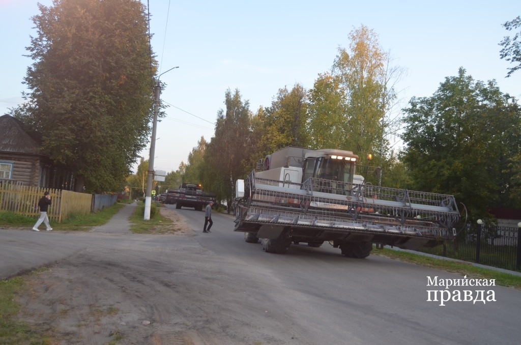 Сегодня эти комбайны намолотили более 500 тонн зерна..jpg