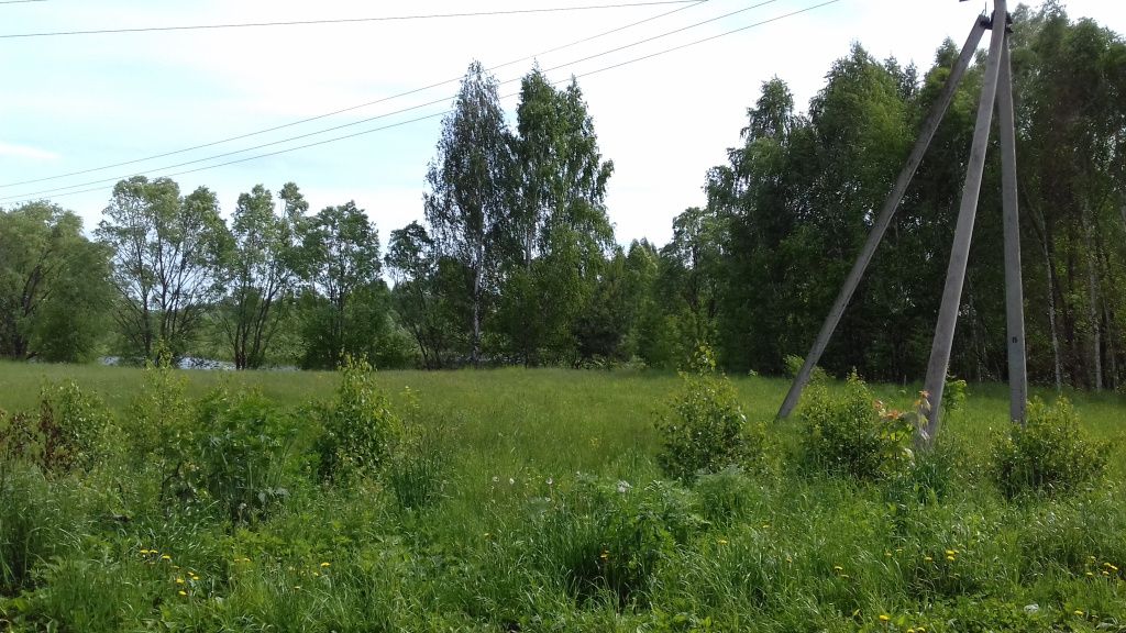 20180608_091740.jpg