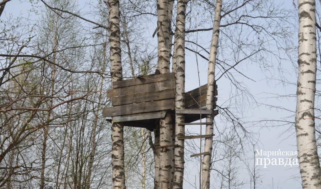 Если в деревне есть такой штабик, значит, есть и дети..jpg