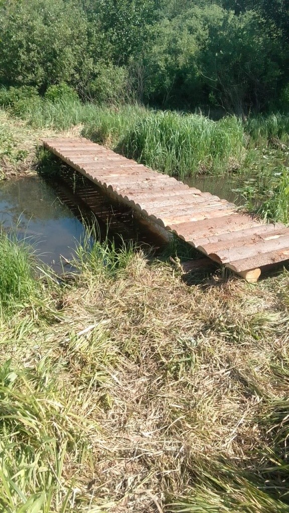 Вот такой мостик через реку Шойку проложили юные лесоводы - он ведет к экологической тропе.jpg