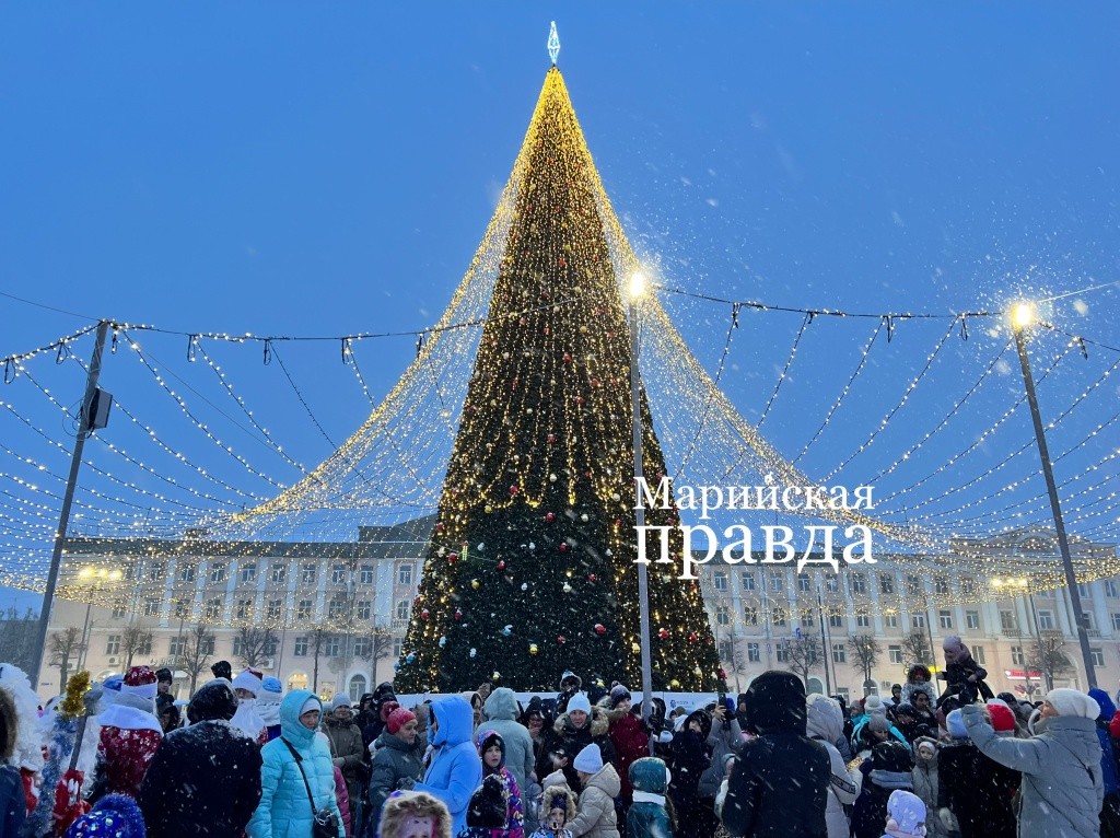 Ёлочка зажглась