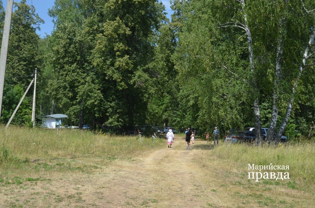 Сбор Смирновых прошел вот в этой симпатичной роще на околице деревни..jpg