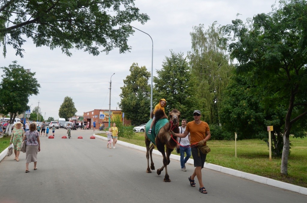 Было на фестивале и такое транспортное средство.jpg
