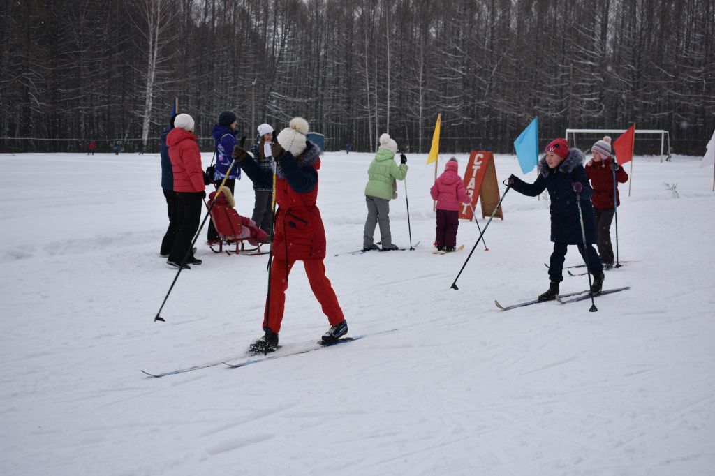DSC_1731.jpg DSC_1731.jpg