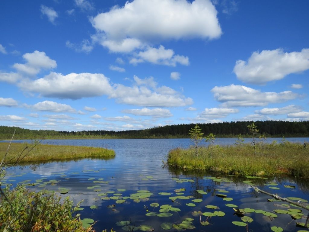 Фото Геннадия Богданова