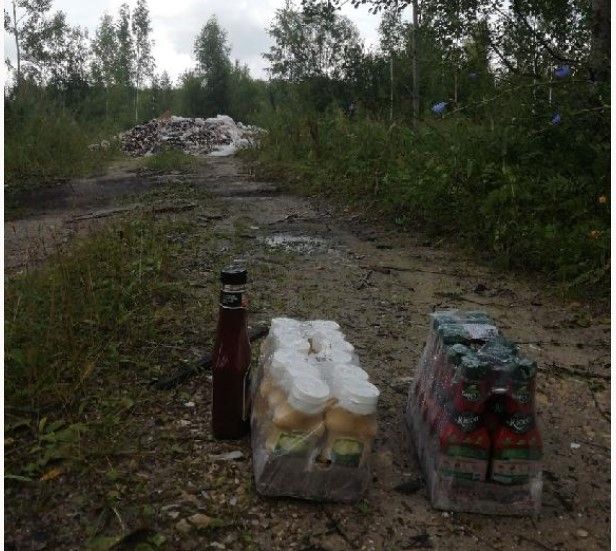 лшл.jpg