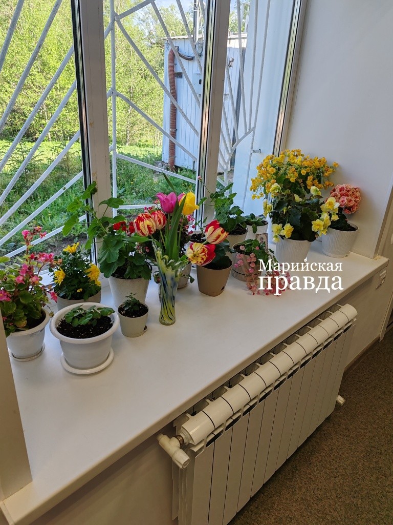 Вот так выглядят подоконники в почтовом отделении. Вот так выглядят подоконники в почтовом отделении1.jpg