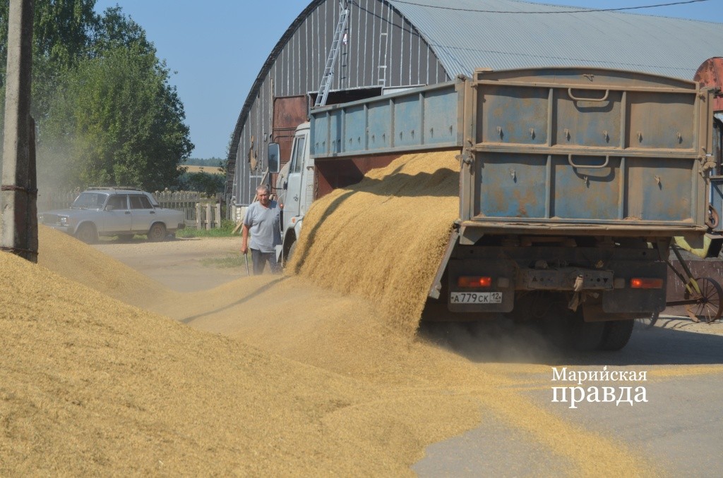 Еще один КАМАЗ прибыл с поля..jpg