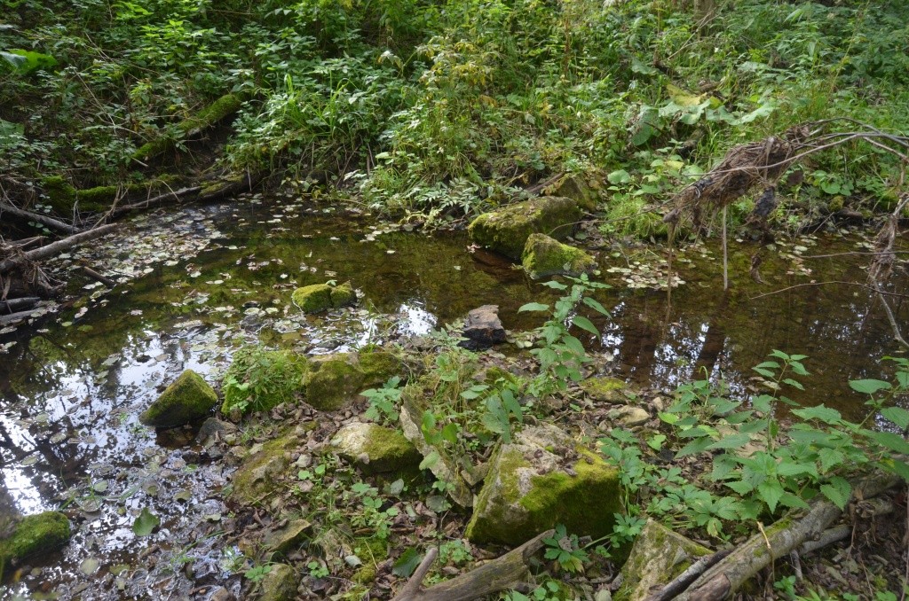 У истока курица речку вброд перейдет.JPG