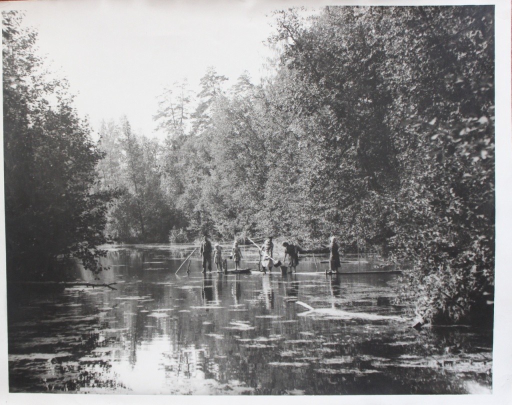 Добывают грязь.jpg