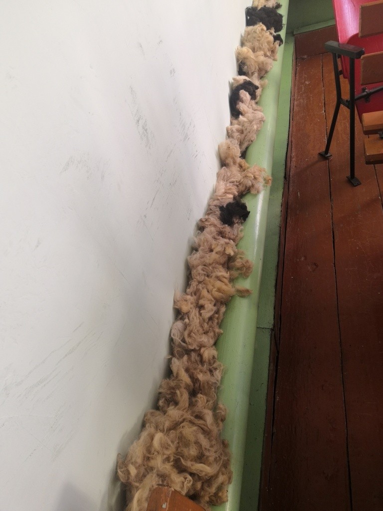 Так сушат шерсть в Шой-Шудумари. Так сушат шерсть в Шой-Шудумари.jpg