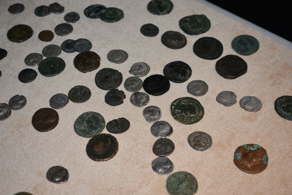 Часть коллекции монет