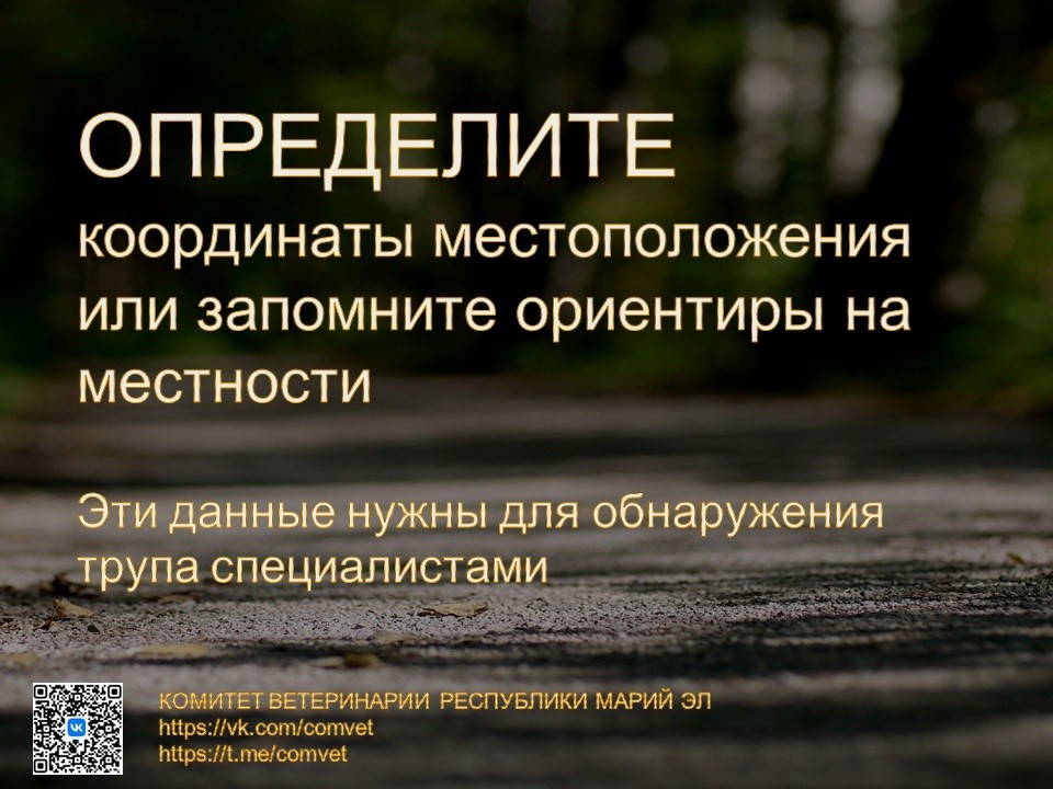 ачс3.jpg ачс3.jpg