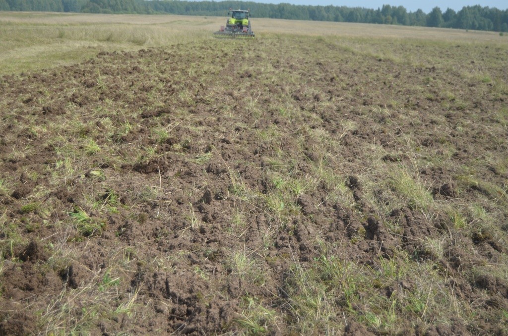 Дернина после прохода агрегата.JPG