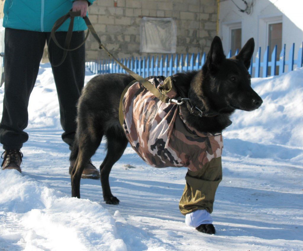 Вьюга.jpg