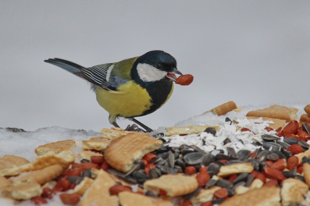 классный кадр.jpg