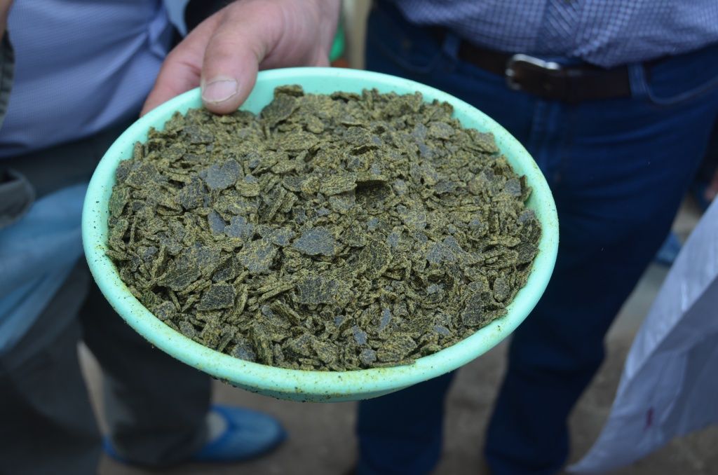 Вот такой чрезвычайно питательный жмых получается после переработки рапса.JPG