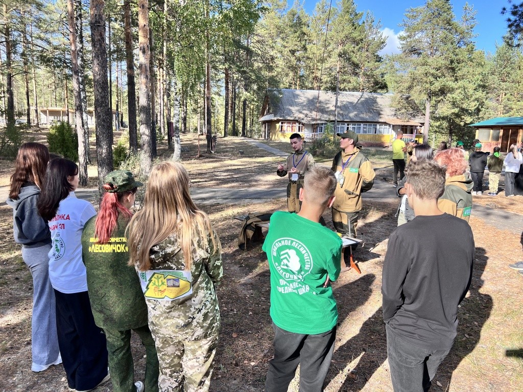 Лесная таксация