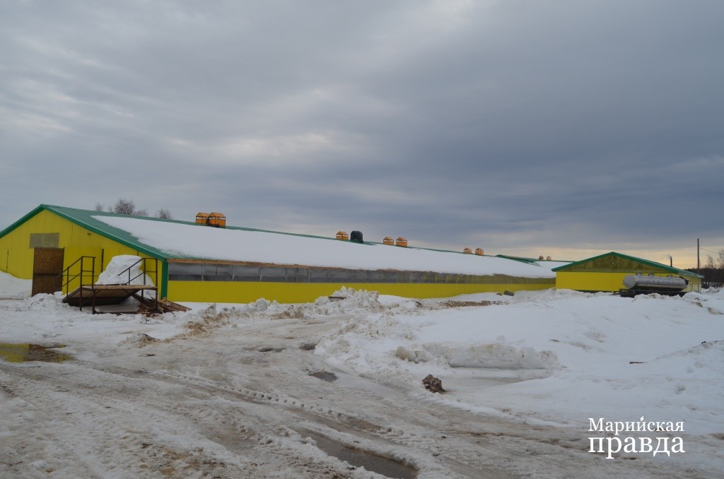 Старую разбомбленную ферму теперь не узнать..jpg