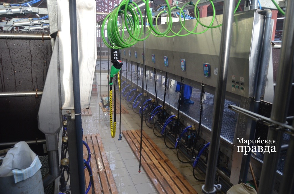 Так выглядит доильный зал родом из Израиля. Так выглядит доильный зал родом из Израиля..jpg