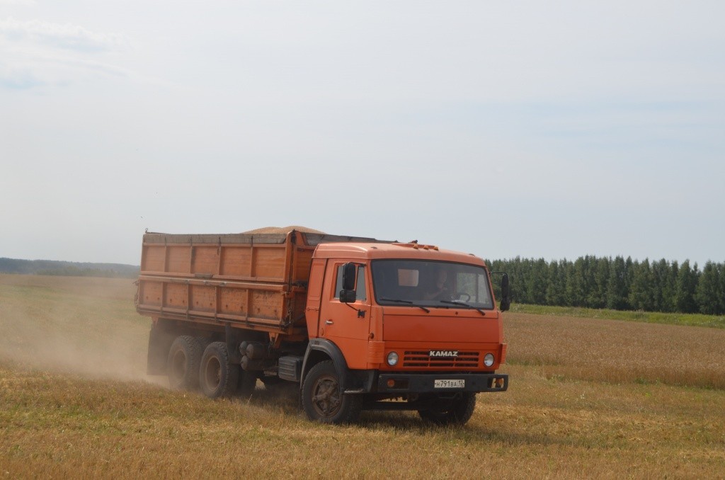 Первый сегодняшний КАМАЗ зерна с этого поля.JPG