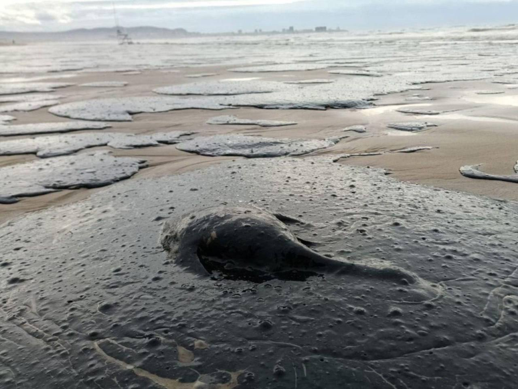 Рыба в мазуте