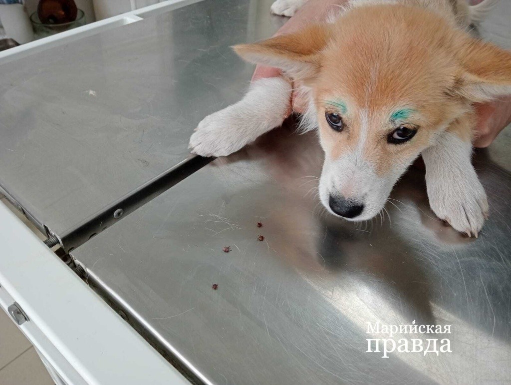 Помощь пришла вовремяи 1.jpg