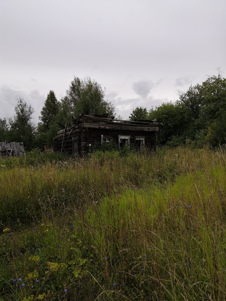 Дома, которые сохранились, находятся в таком вот состоянии.jpg