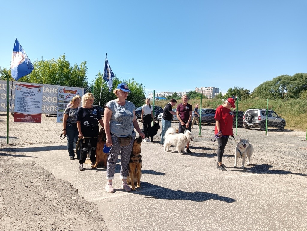 День Фронтовой собаки.