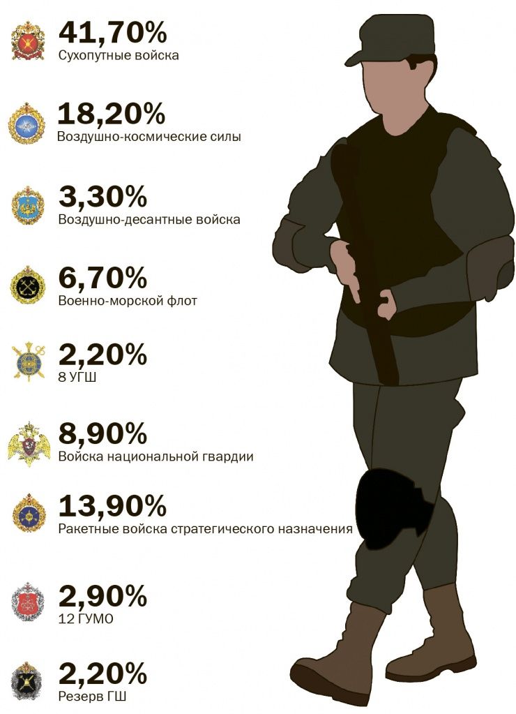 Инфографика Ирины Бородянской, Натальи Кулишовой. ("Марийская правда") 