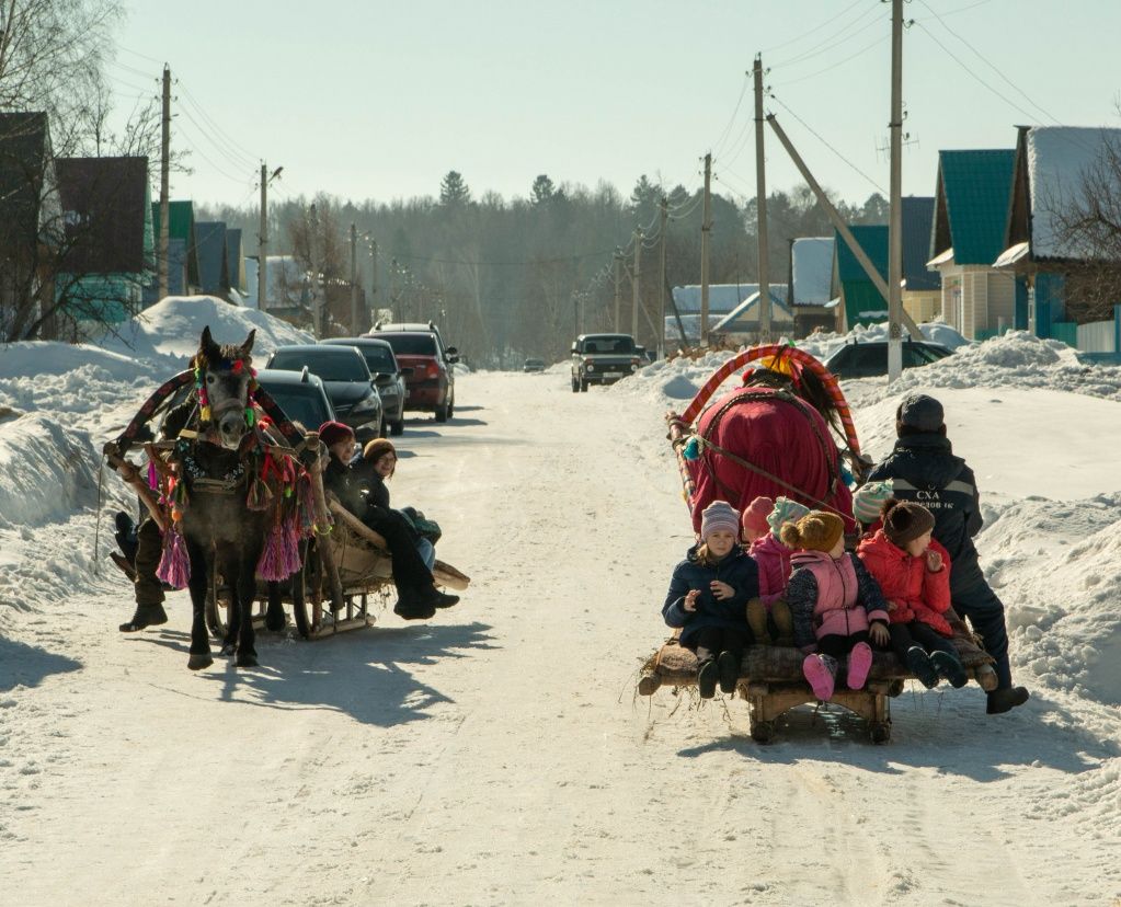 "Покатушки" на лошадях: равнодушным не остался никто