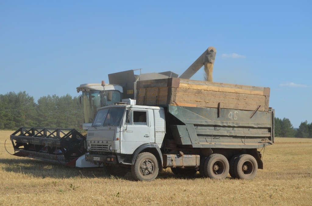 Урожайность хорошая. поэтому бункера комбайнов быстро заполняются. Урожайность хорошая. поэтому бункера комбайнов быстро заполняются.jpg