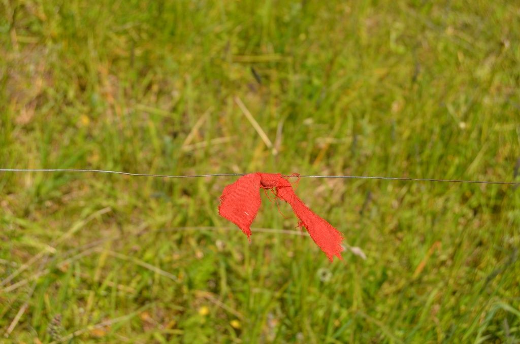 В этом тонком проводе напряжение 12 вольт - не смертельно, но чувствительно.JPG