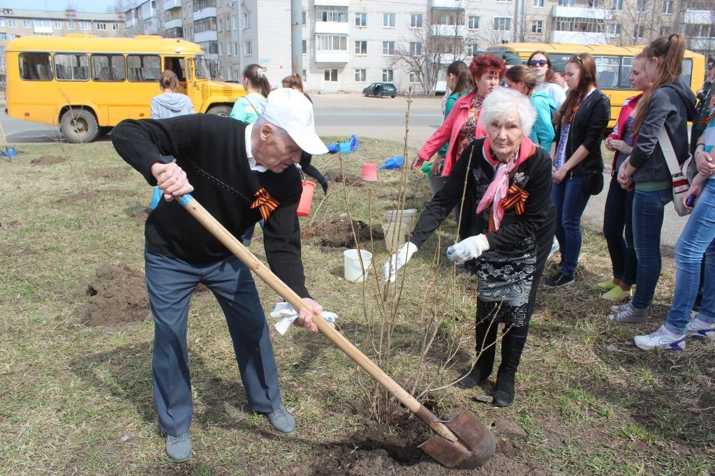 Медведево 2.jpg