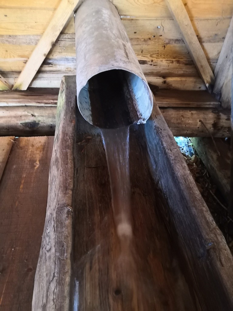 Жизнь ключу дают сразу несколько родников, которые собираются в один поток.jpg