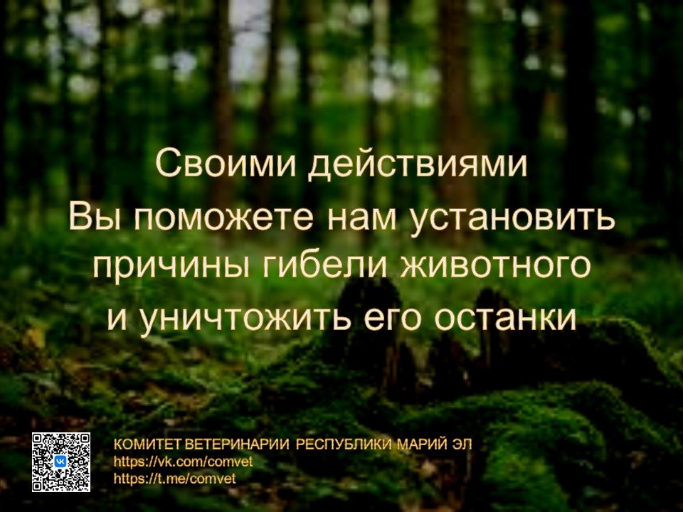 ачс5.jpg ачс5.jpg