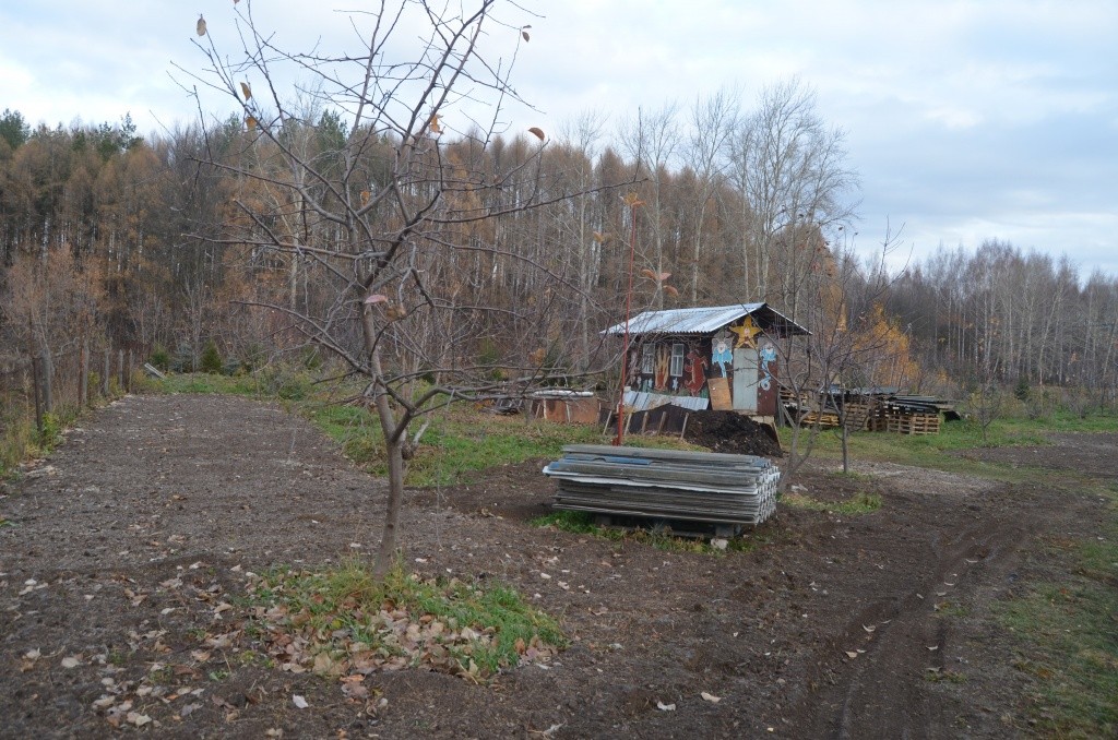 В саду у пенсионера полный порядок.jpg