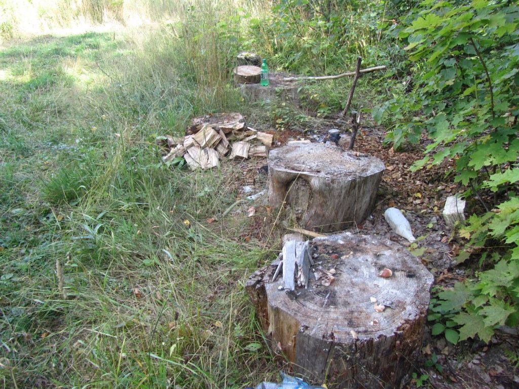 Вот такие бивуаки остаются после лесорубов.JPG